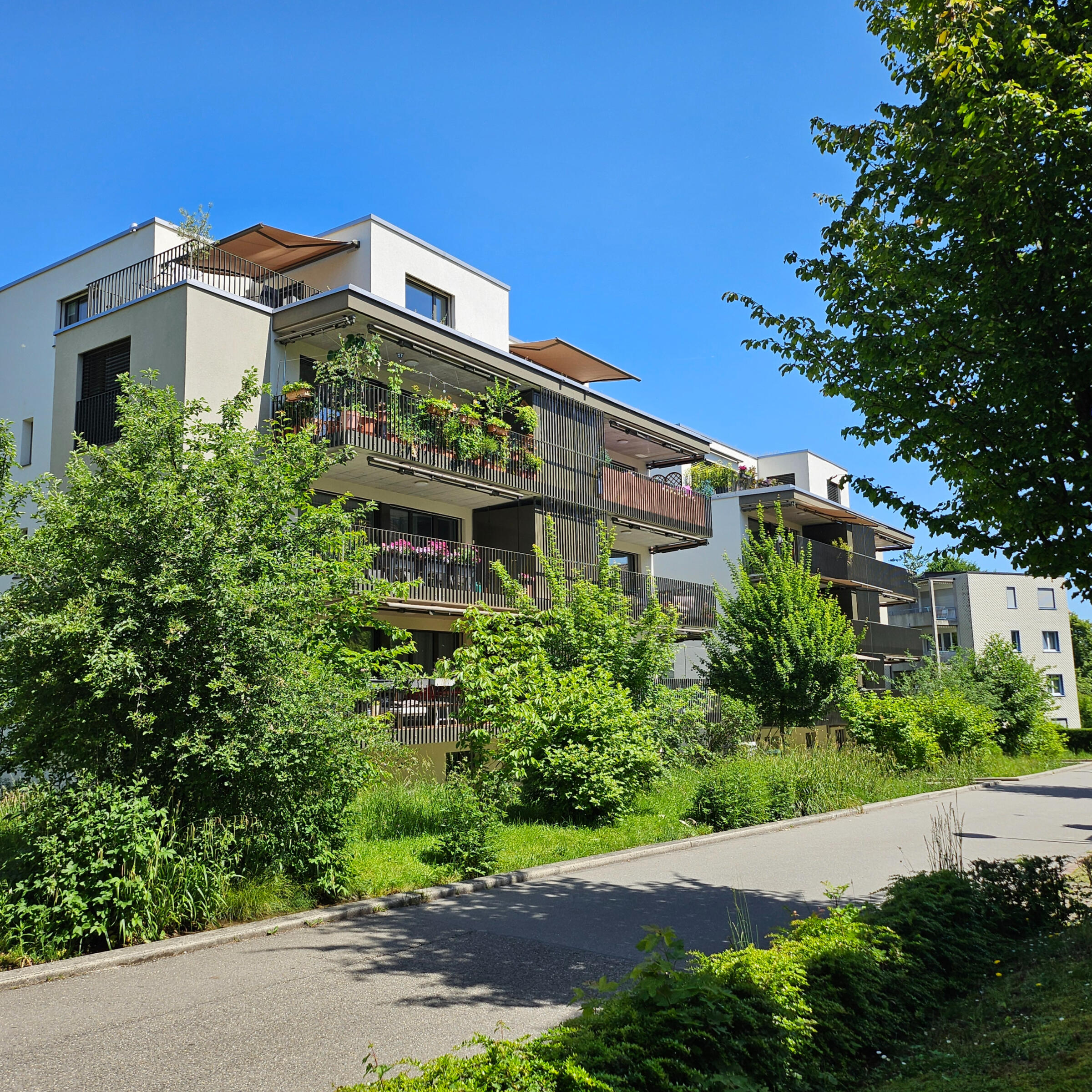 Balkongeländer, Balkonabschlüsse, Reduit-Einhausungen, Handläufe etc. Metallbauplanung Schweiz, Metallbau Planungsbüro, Planer Metallbau, Metallbauplaner, Metallbauplanung, externer Planer, externer Projektleiter, Metallbau Ausschreibungen, Metallbau Planungsbüro Ostschweiz, Metallbau